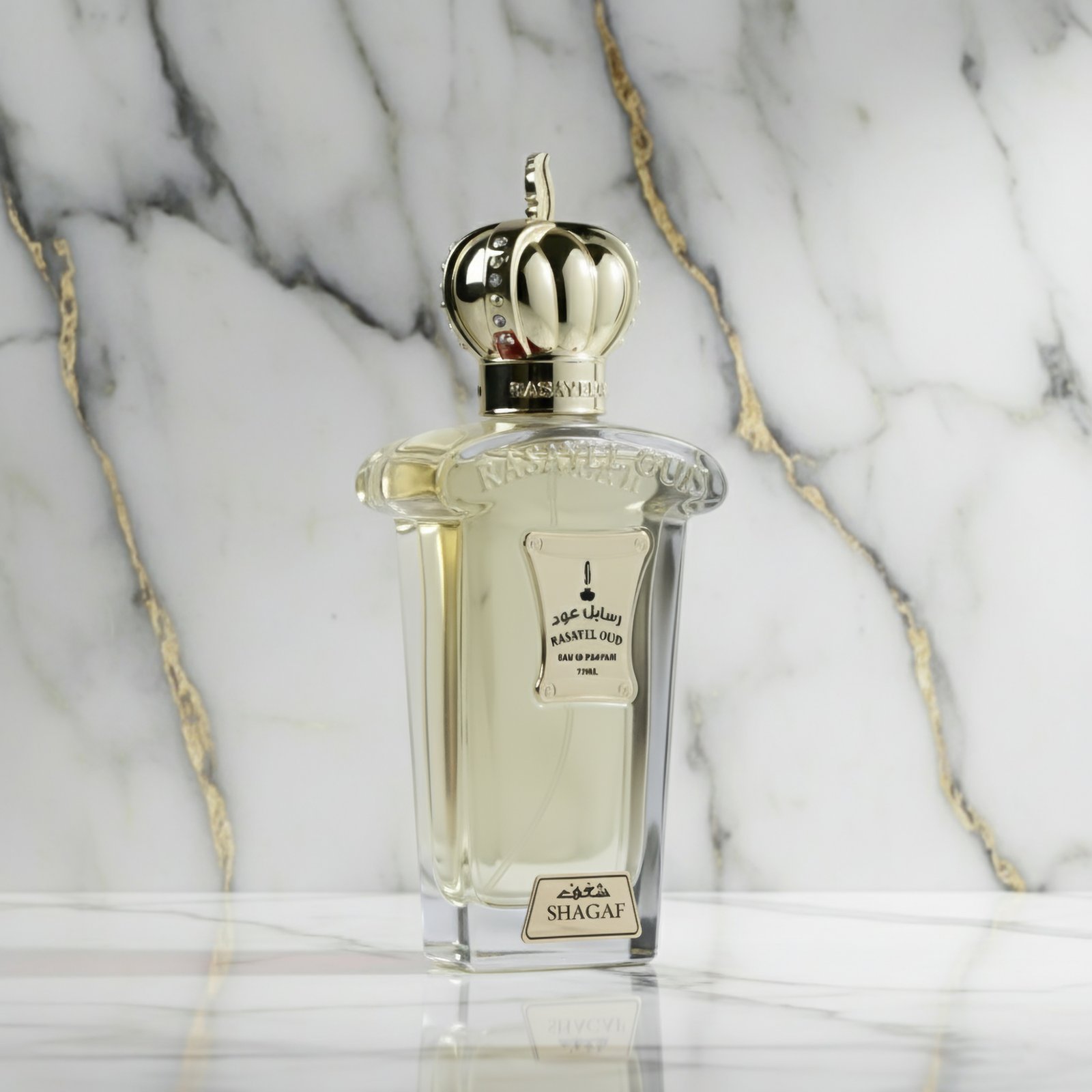 SHAGAF-1-3.jpg SHAGAF - Image 1